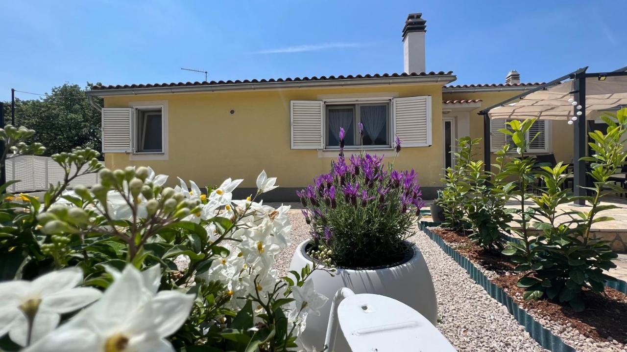 House Roca Διαμέρισμα Βόντιτσε Εξωτερικό φωτογραφία